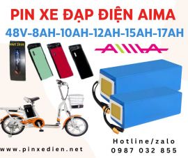 pin xe đạp điện Aima