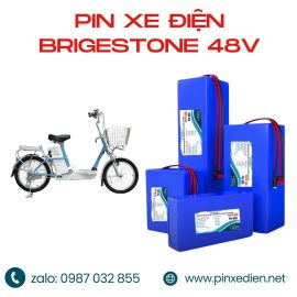 Pin xe đạp điện Brigestone 48V