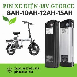 Pin xe đạp điện G force