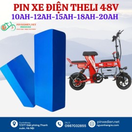 Pin xe đạp điện Theli 48V dung lượng 10AH- 12AH-15Ah-18AH-20Ah