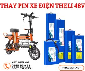 Pin xe đạp điện Theli 48V: Hướng dẫn sử dụng và bảo dưỡng